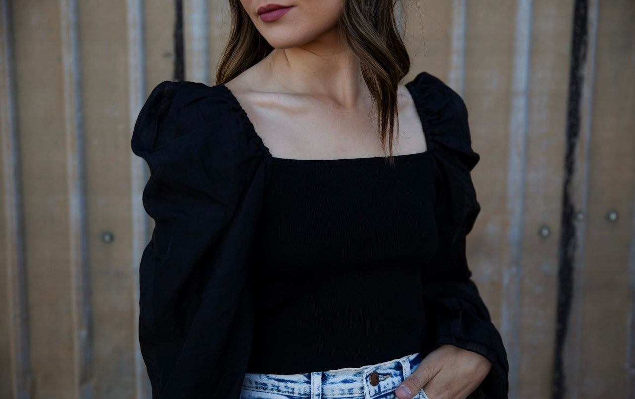 Skylar sheer sleeve top