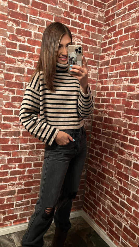 Striped Turtle Neck  Sweater Top
