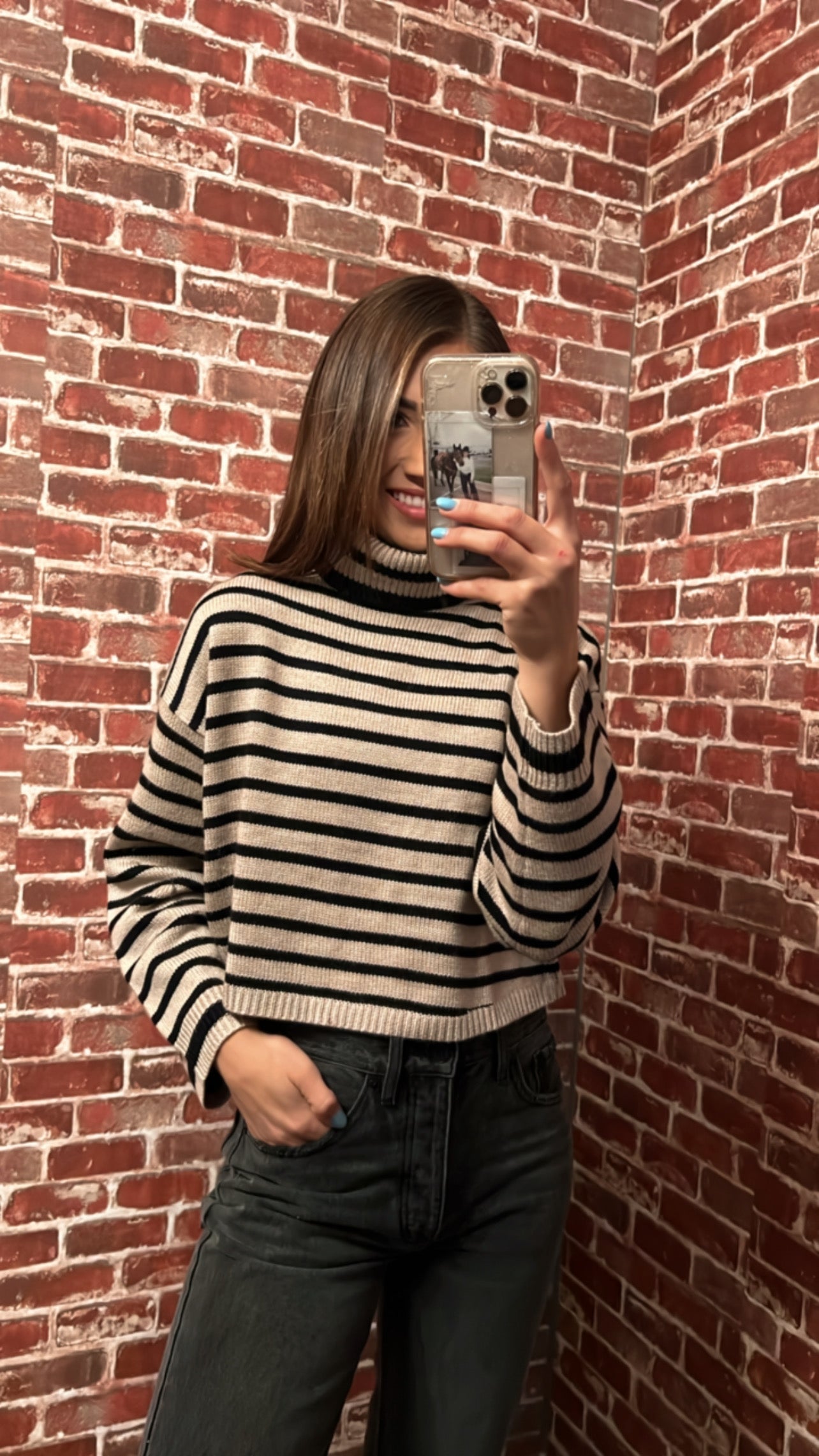 Striped Turtle Neck  Sweater Top